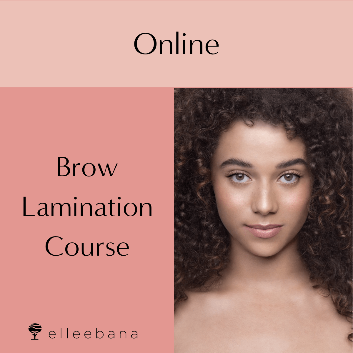 Online-Brow-Lamination-1