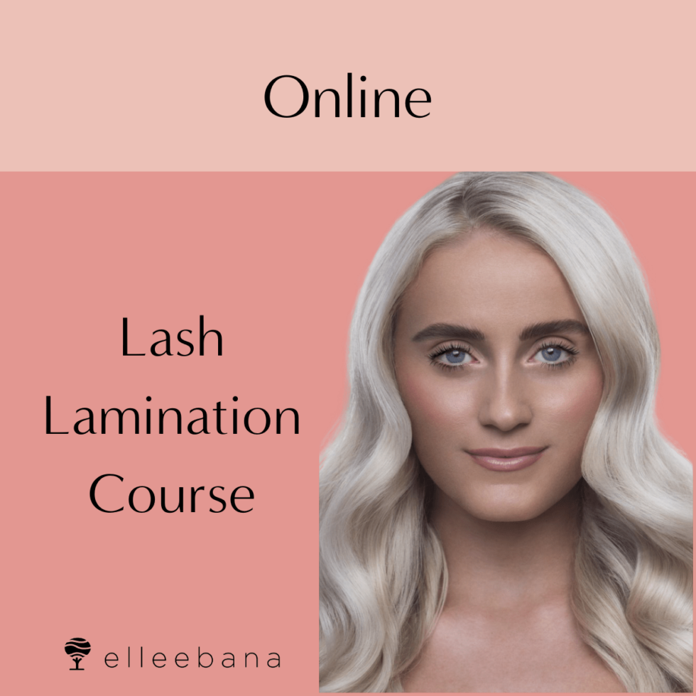 Online Lash Lamination Course The Lash Collection